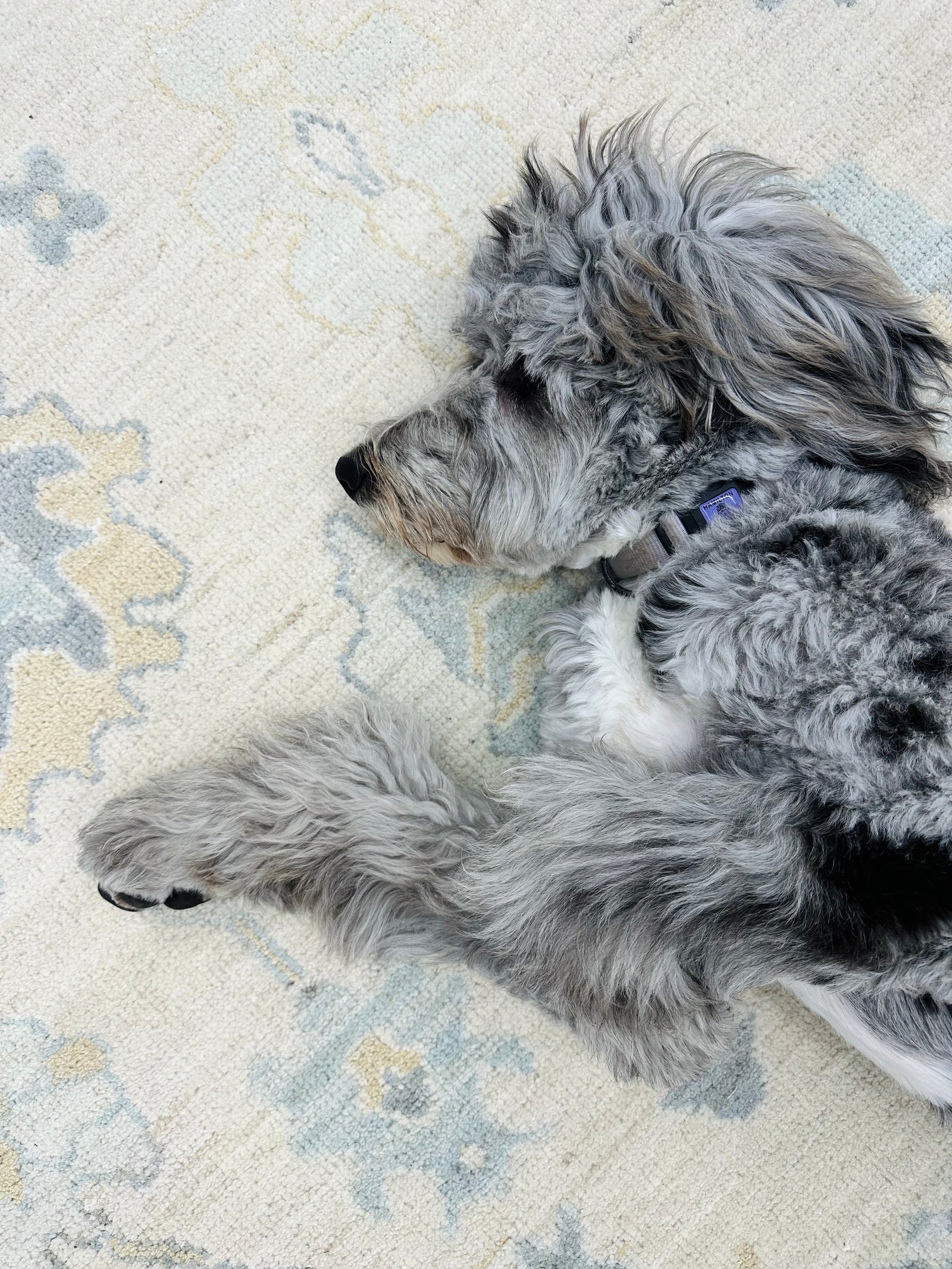 Questions about oushak and rug care, size, interiors design
