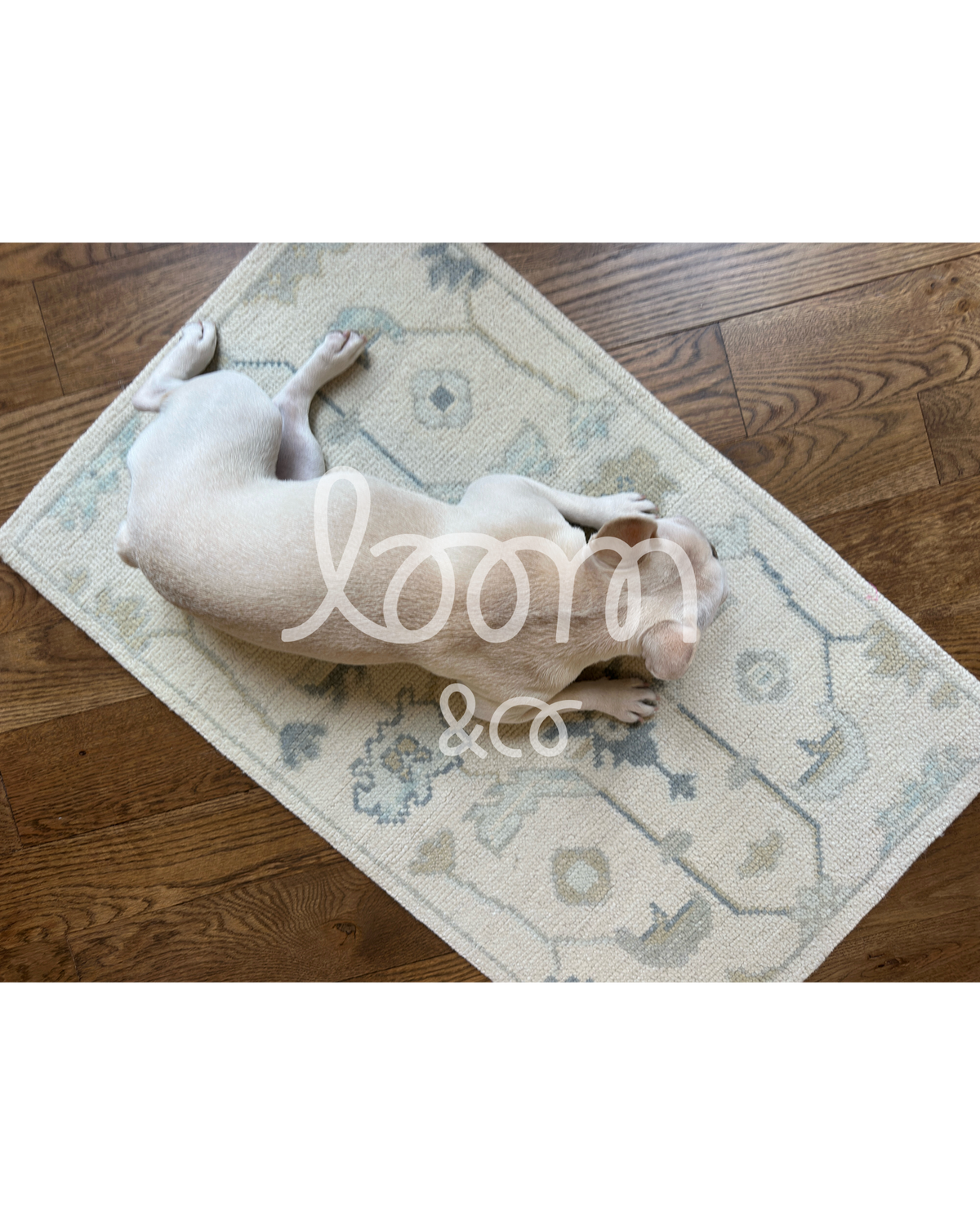 The Bestie | Francie Cream