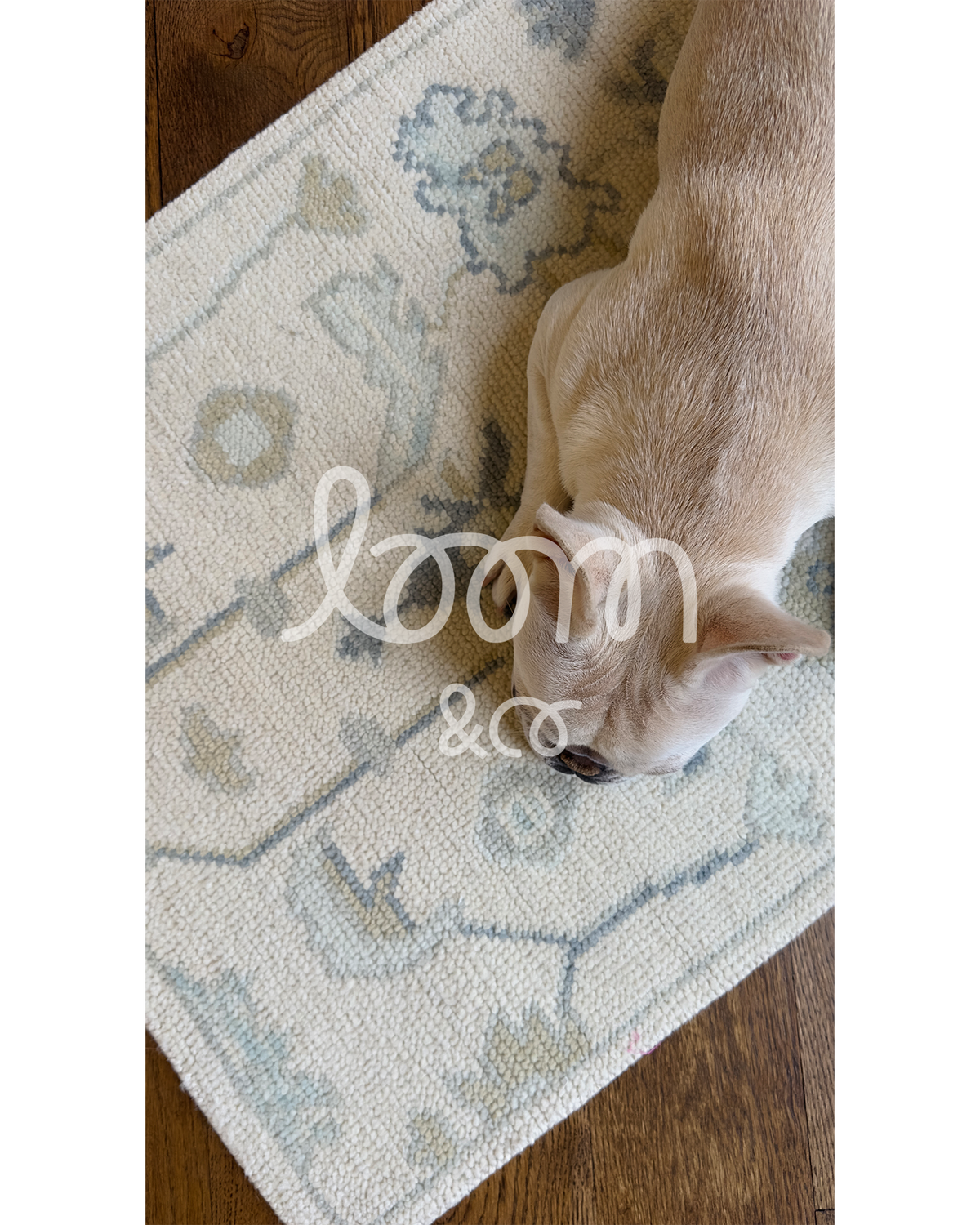 The Bestie | Francie Cream