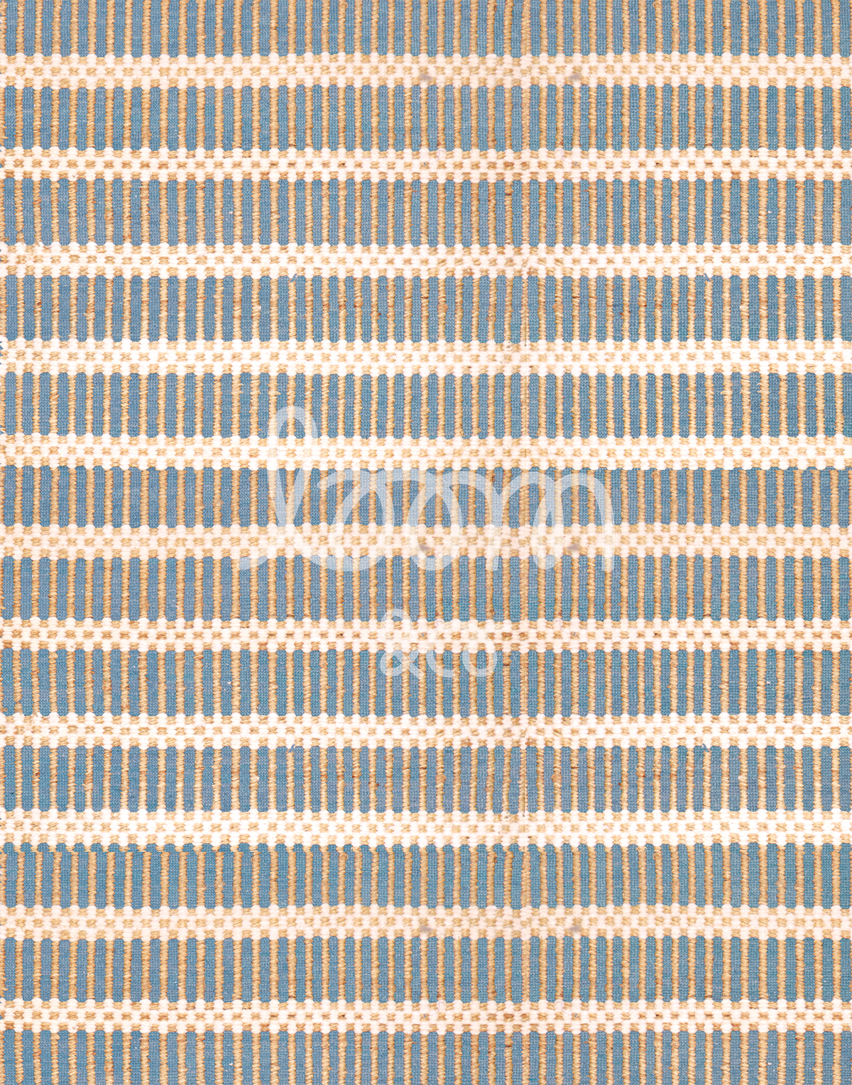 Barcelona | Hydrangea