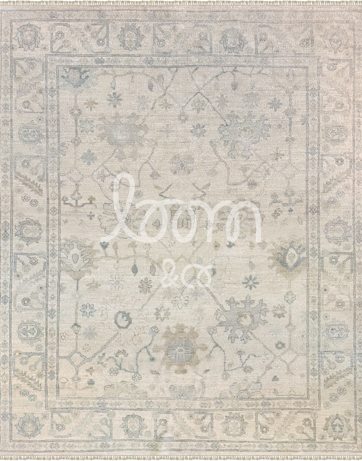 The Daydreamer | Daphne