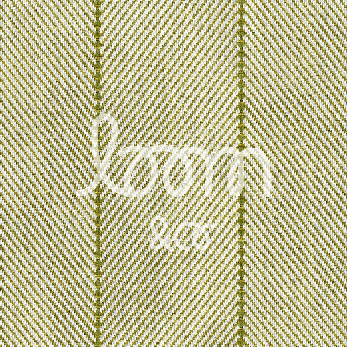 Drake | Lime | ready to ship