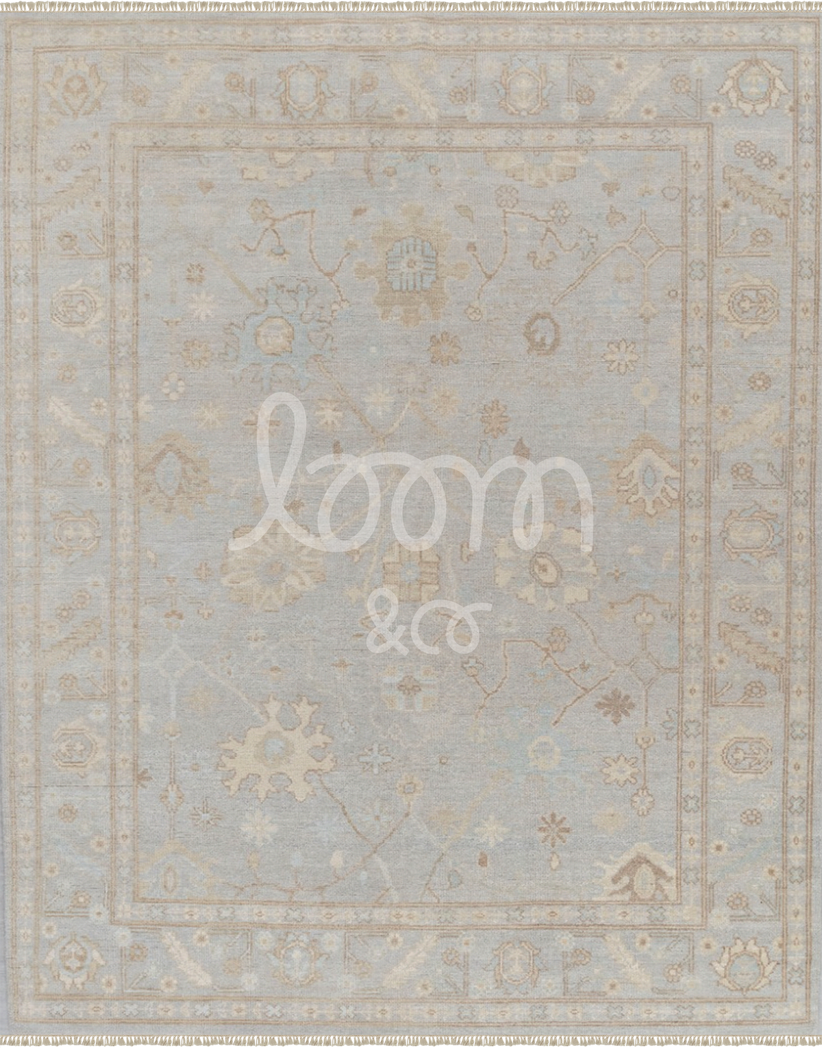 The Daydreamer | Felix