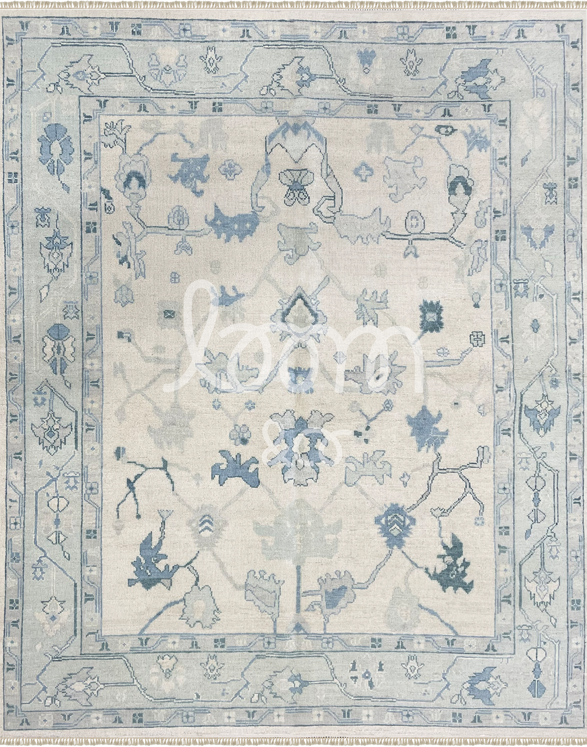 The First Lady | Hollis