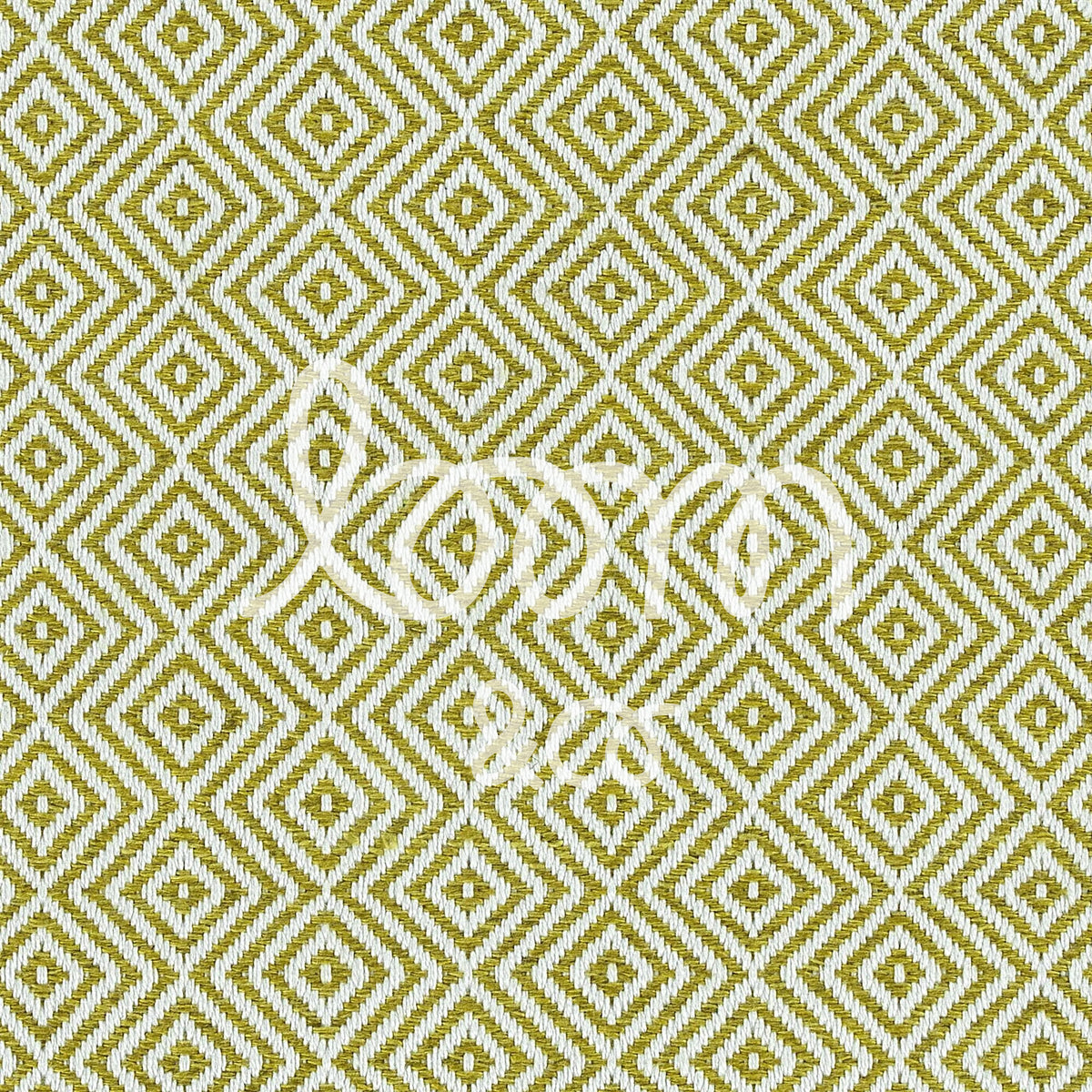 Prince | Lime | ready to ship