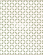 Staten Island | Olive