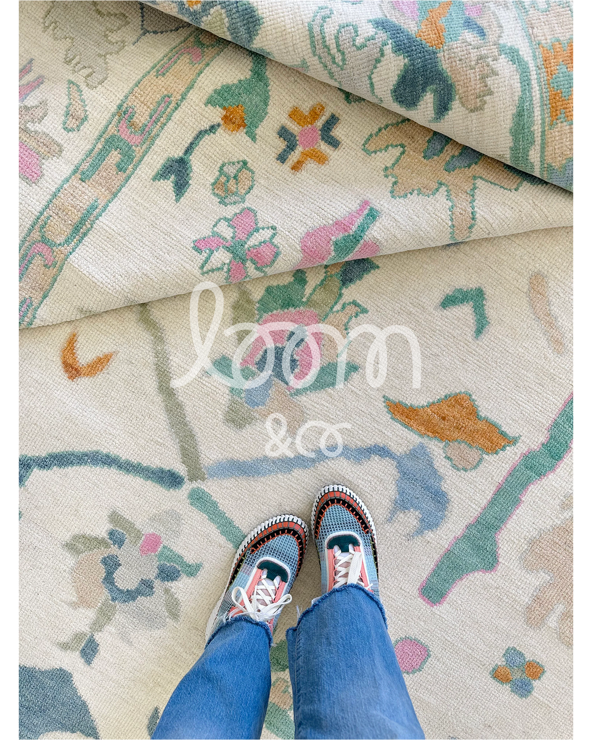 The Cassanova | Teddy