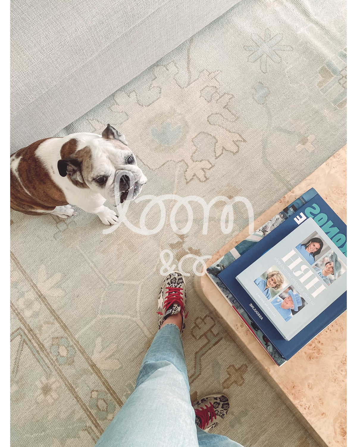 The Daydreamer | Felix