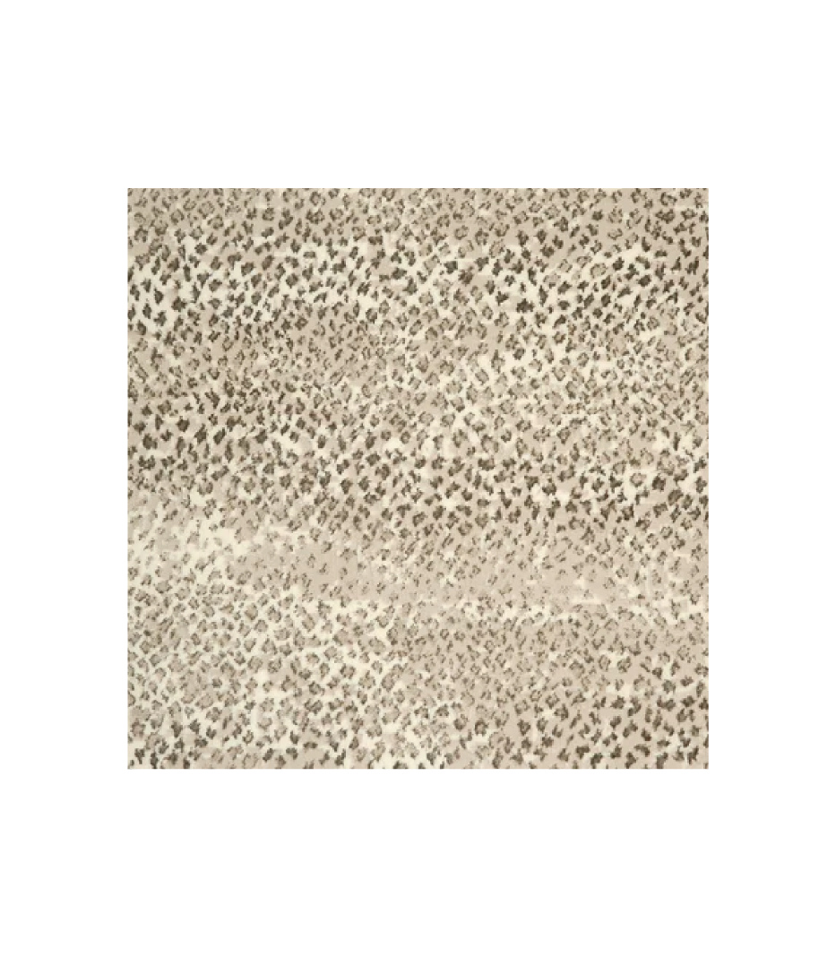 Sample - Whitney | Oyster
