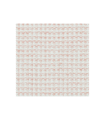 Sample - Willie | Blush