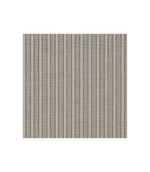 Sample - Bruno | Maize