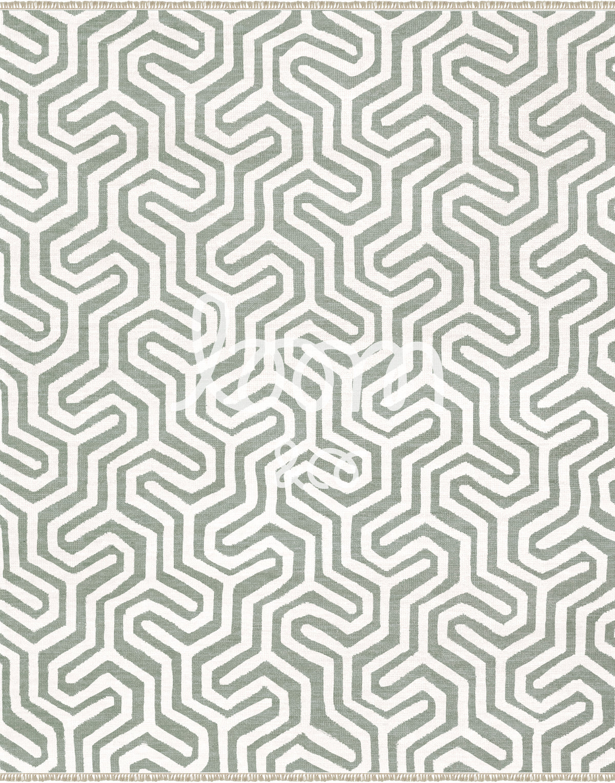 5th Avenue | Eucalyptus