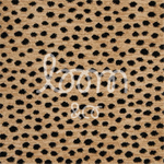 Shania | Bronze
