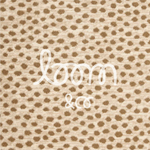 Shania | Desert