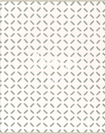 Staten Island | Eucalyptus