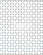 Staten Island | Hydrangea