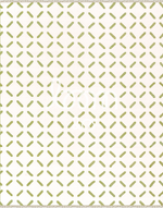 Staten Island | Lime