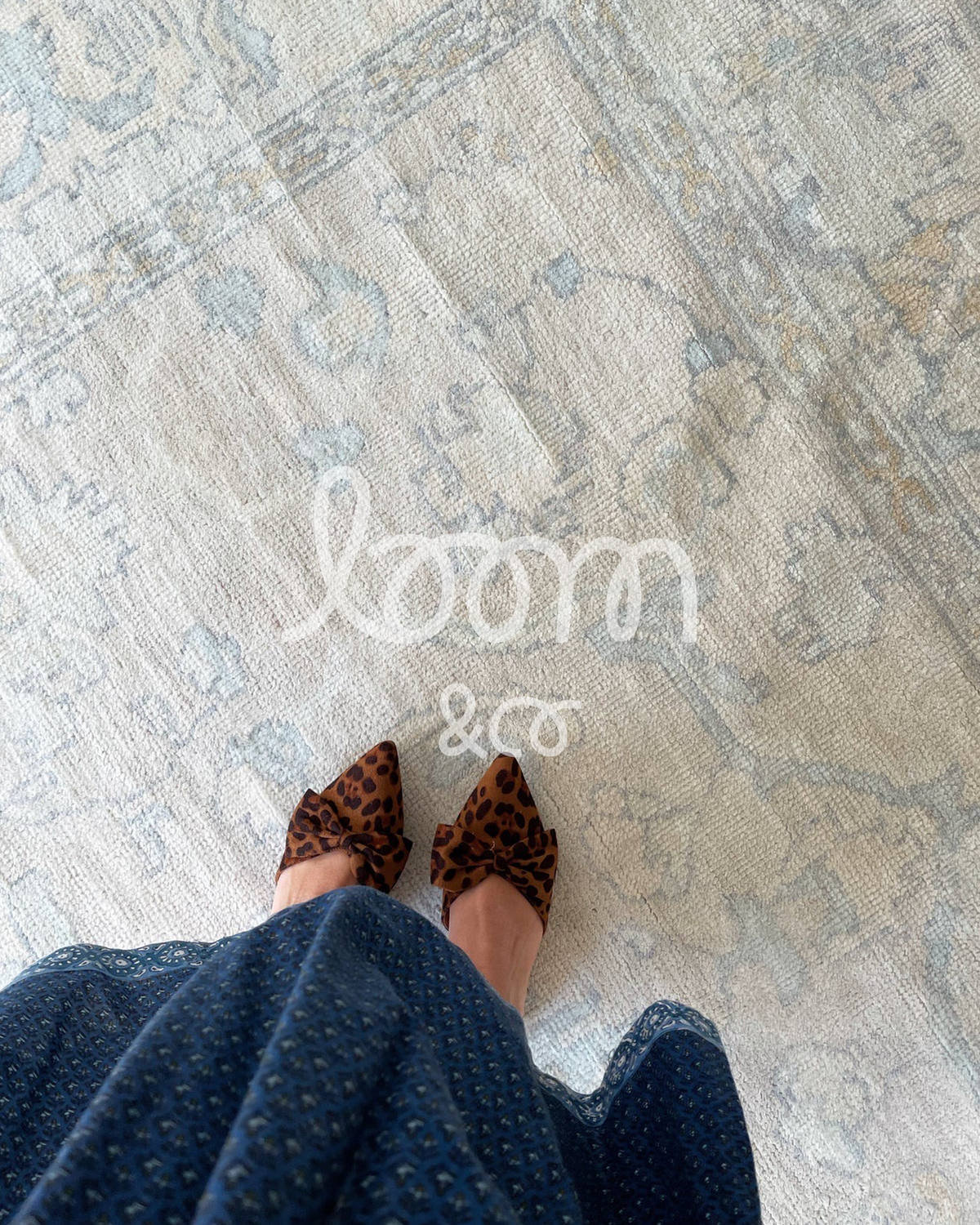 The Daydreamer | Daphne