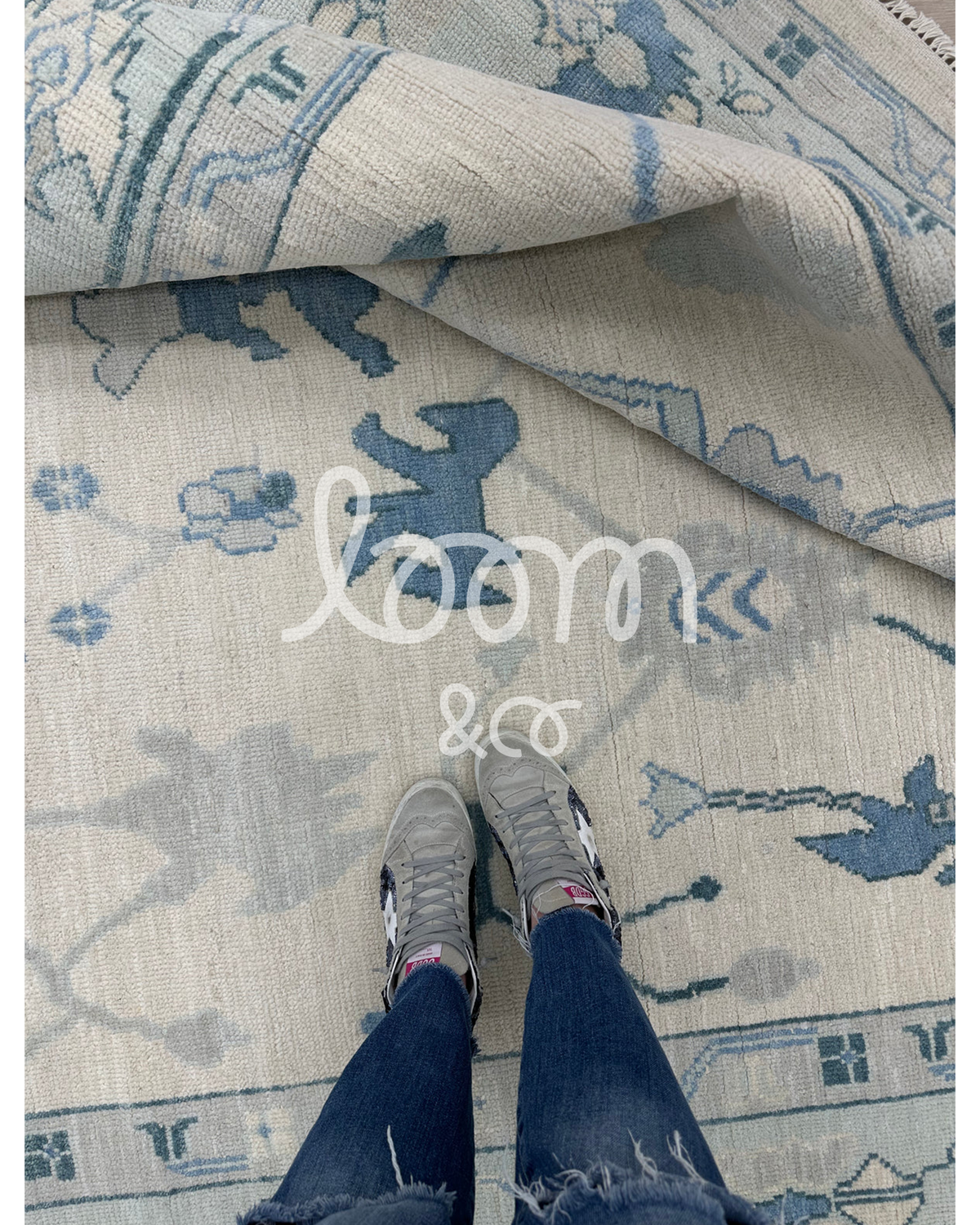 The First Lady | Hollis