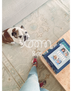 The Daydreamer | Felix