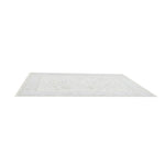 The Muse | Fallon